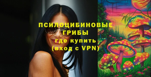 таблы Алзамай