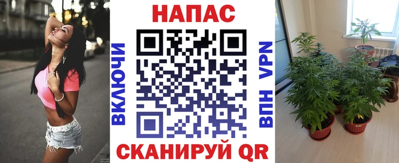 Бошки марихуана конопля наркотики дарк нет клад Багратионовск